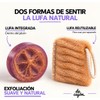 Jabones Corporales Artesanales con Lufa · Lavanda · 5 Barras