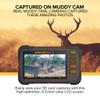 MUDDY SD Card Reader or Viewer with 4.3 Inch LCD