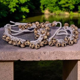 Shiva Lingam Shop White Padded line Cloth String/Rope Anklet 20 Bells/Ghungroo/Payal/salangai | Bharatnatyam, Kuchipudi, Kathak | Classical Dance Jewelry, Showing as Image, I-5989