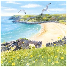 Birthday/Blank Greeting Card For Him/Her - Male/Female - General Card for Men/Women - Beach Cove and Seagulls - Artistic Design by by Lucy Grossmith - Made in the UK