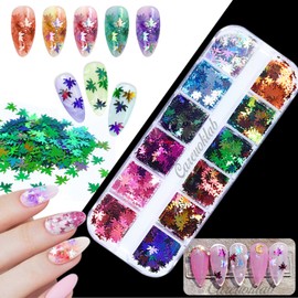 5 Boxes Iridescent Glitter Sequins, Mixed Shapes Colorful Holographic Nail Art Glitter Flakes Maple Leaves Hearts Stars Butterfly DIY Art Decoration Craft Makeup