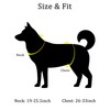 Light Up Dog Harness for Medium/Large Dogs