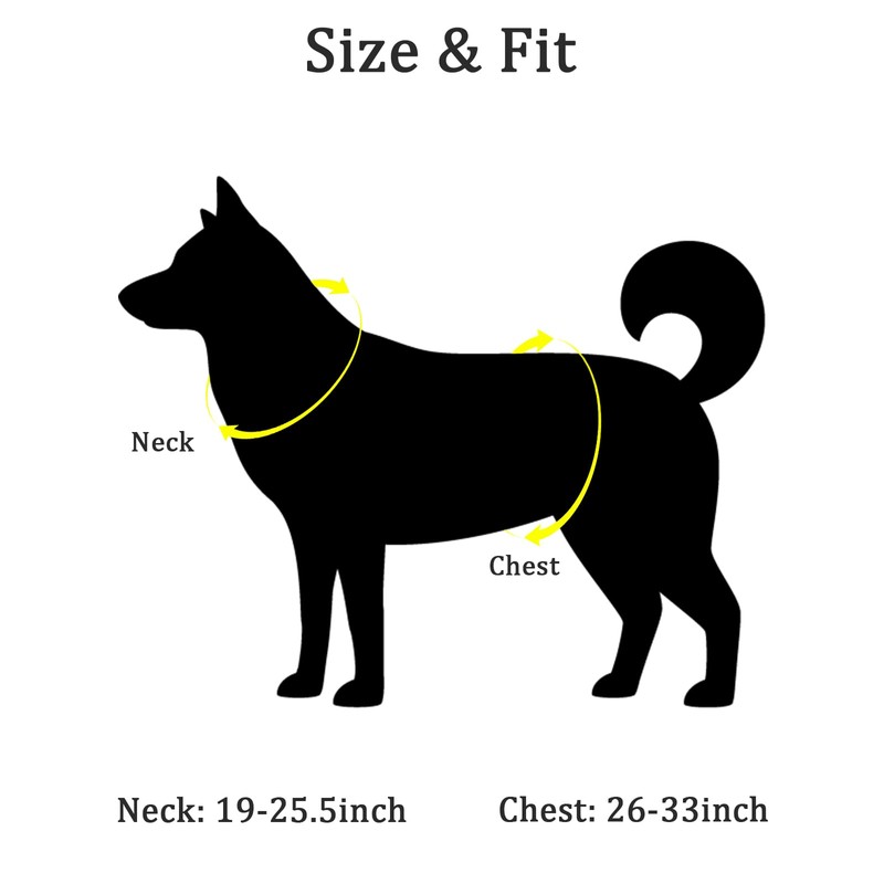 Light Up Dog Harness for Medium/Large Dogs