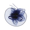 Zac's Alter Ego Lace & Net Fascinator with Feathers on