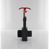 Steinbach Fittinge Gate Valve, Black, Diameter: 38 MM x 1