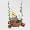 AIMALL Coconut Bird's Nest Parrot Breeding Box – Bird’s Nest