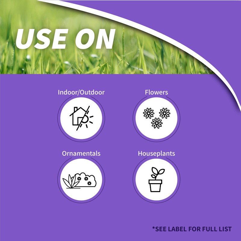 Bonide Systemic Houseplant Insect Control, 8 oz Ready-to-Use Granules for