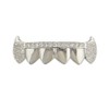 Psivika Diamond Grills Gold Plated Shiny Hip Hop Teeth Grillz