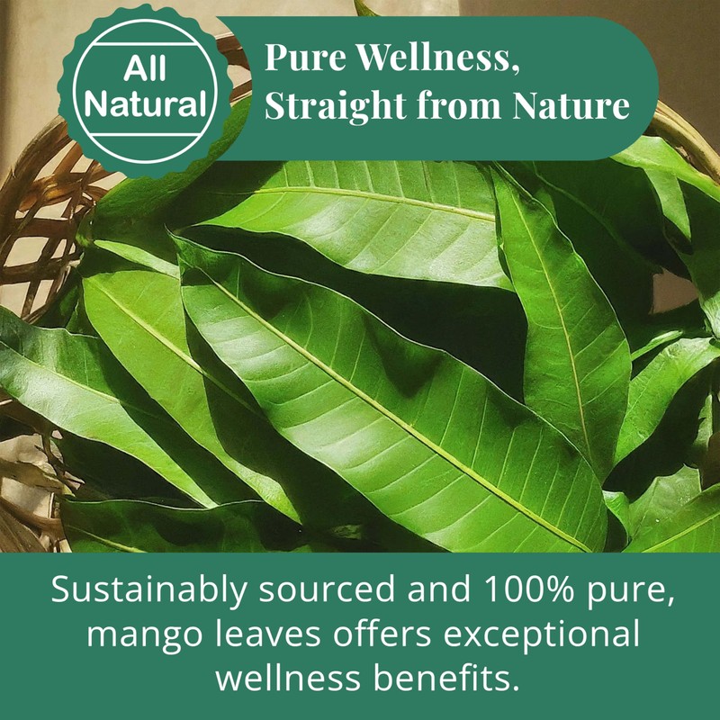 13oz Dried Mango Leaves, Hojas De Mango Secas, 100% Natural