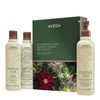 Aveda Invigorating Awe: Rosemary Mint Hair & Body Essentials