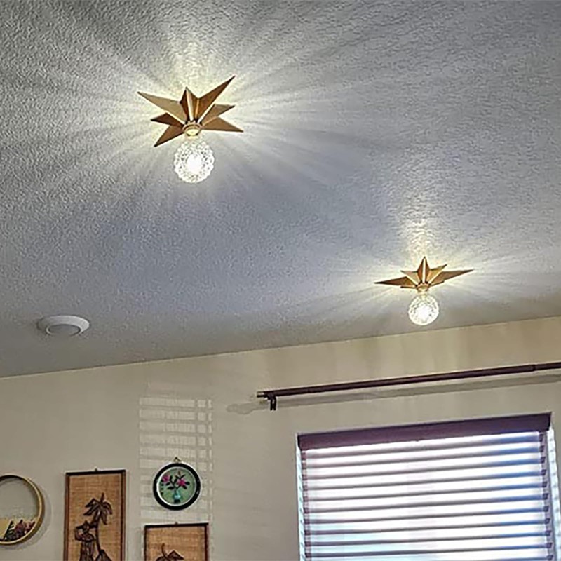 SHUKEFER Star Flush Mount Ceiling Light Fixture E26/E27 Moravian Gold