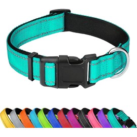Collar reflectante para perro y gato, ajustable de neopreno suave y acolchado, hebilla, XS, verde azulado