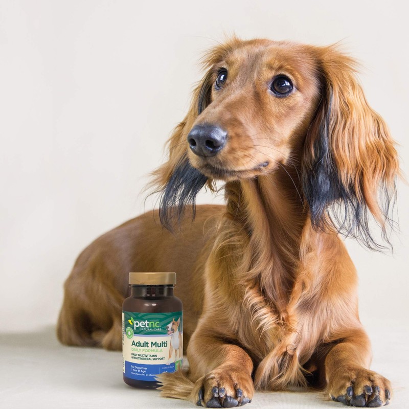 Petnc Natural Care Adult Multi Chewables (75 Count), Daily Dog