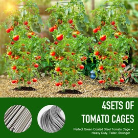 Tomato Cage 4-Pack Heavy Tomato Plant Stakes Support Cages Trellis for Garden and Pots
