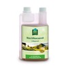 Evening primrose oil