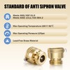 2 PCS Brass Vacuum Breaker, 3/4'' Solid Lead-Free Compliant Brass