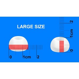 12pcs - Large (L) Eartips Compatible with Raycon Everyday and Fitness Wireless Earphones - Replacement Earbuds Adapters (TRS-W)