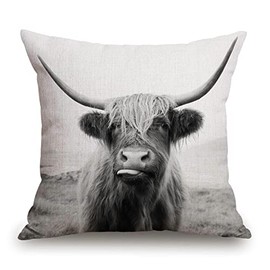 TSSOHU Black and White Throw Pillow Cover Patio Furniture Scottish Highland Cow on Isle of Mull Decorative Cushion Cases Home Décor for Couch Bed Sofa 18x18 Inch