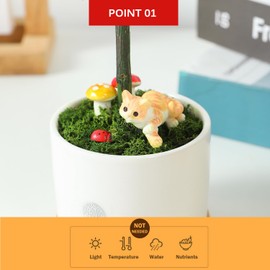 Mossever 100% Natural Colored Potted Preserved Plant Moss Deodorizer-Great Premium Home Decor Art for Bedroom & Living Room-Eco-Friendly Humidifier & Air Cleanser-No Maintenance Needed (Dark Green)