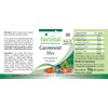 Fairvital Carotenoid Mix - High Dose - Vegan - 90