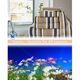 TheWhiteWater – 100% Natural Cotton BATH TOWEL (Mocha – 120 x 70 cm) – 6 Threads Combed Stripe – Royal Victorian Flossy Stripe Salon Design – 550 GSM – Gym or Home use (1 x Bath Towel, Mocha)