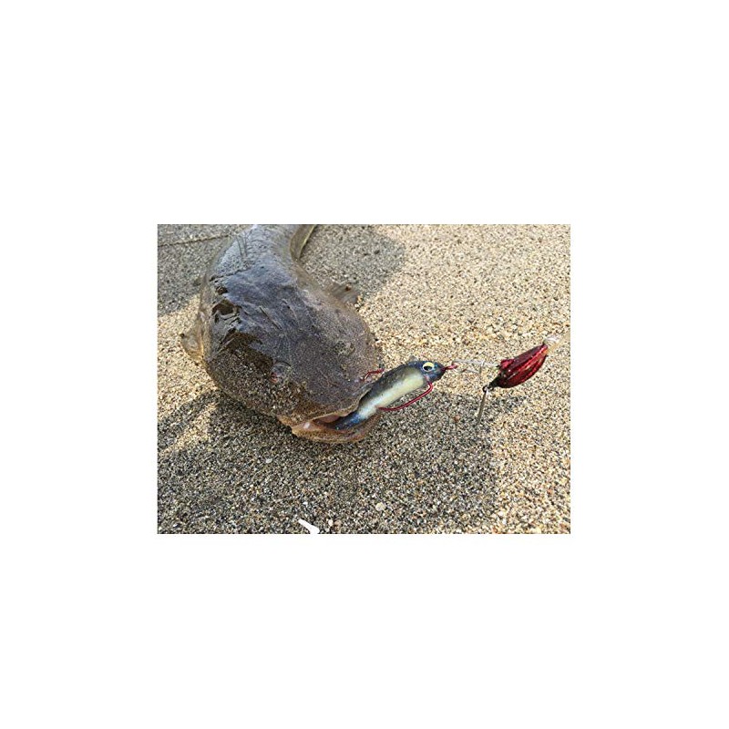 Magbite MBW04-0409 Shad 4" 09 Holo Harabait