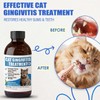 Cat Gingivitis Treatment Liquid 100ml - Cats Dental Care Clean