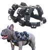 Black Dog Harness