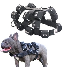 Black Dog Harness