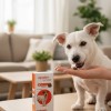 1 B Masticable Naranja 4.5-10 K Perro Msd