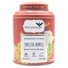 Tea People Spiced Apple 20 Pyramid Teabags in a Tin