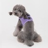 Puppia Soft Vest Dog Harness Step-in Padded Mesh No Choke