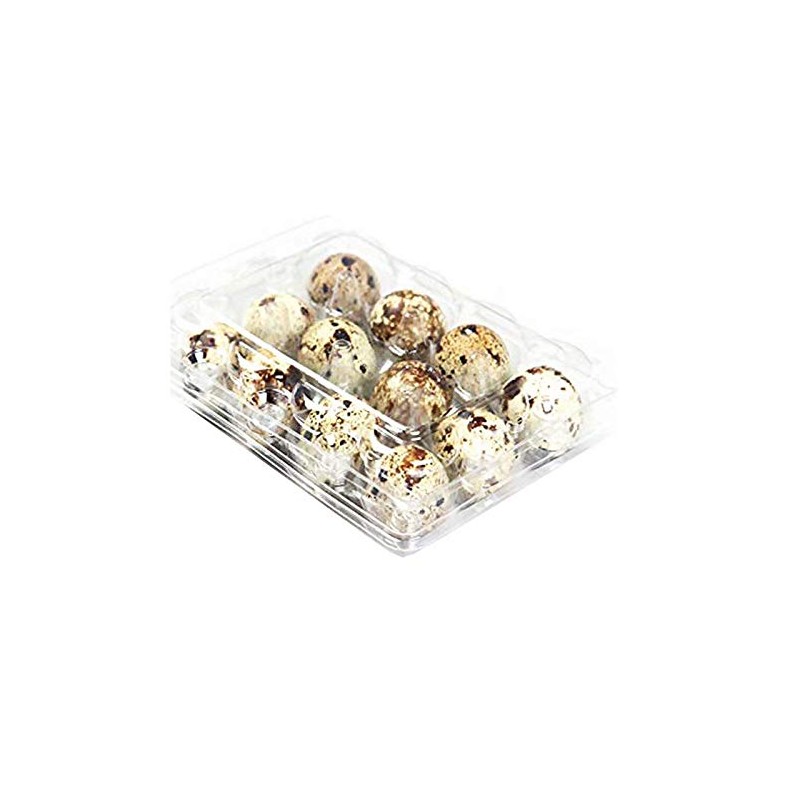 Quail Egg Boxes, 50 Pieces, Quail Eggs, Reusable, Ecyclable Plastic