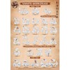 Spectra Verlag Karate | Karate Tools Poster | DIN A1