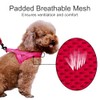 Plutus Pet No Pull Dog Harness with Breathable Mesh Padded,