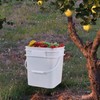 Wekioger 3 Gallon Plastic Bucket Pail with Seal Lid, 4-Pack