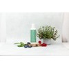 Tints of Nature Hydrate Conditioner, Chamomile Almond Oil, 200ml