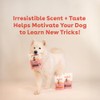 Pupford Soft & Chewy Training Treats for Dogs & Puppies