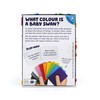 Junior Colourbrain Board Game: Ultimate Game for Families Fun for