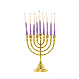 Yair Emanuel Hannukah Menorah Classic Bronze Rounded Branches