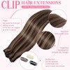 Tebelove Clip in Hair Extensions Real Human Hair 3.9oz/110g Clip