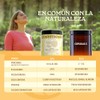 COMMONS Hongo Melena de León Lions Mane Suplemento Natural
