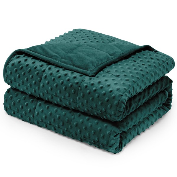 Wemore Minky Dot Weighted Blanket for Adults Queen Size 20