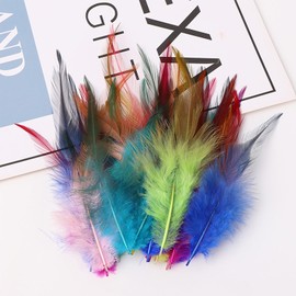 Colorful Saddle Hackle Rooster Feathers for Crafts 200pcs 5-7 Inch Loose Feathers Bulk Christmas Decorations Earrings Jewelry Making Dream Catcher Decor (200pcs-Colorful)
