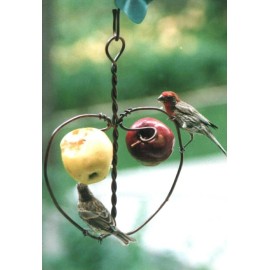 Holland Hill Johnny Apple Feeder - Copper Wire Heart Shaped Fruit Bird Feeder