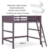 MDPLY 4 Pack Bunk Bed Ladder Hook, Inside 1" Kids
