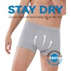 IRISMORII Mens Washable Incontinence Protection Underwear Zero Leak and Odor
