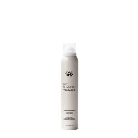 Dry Shampoo Volumizing Hair Refresh Spray Oil Control Instant Clean Look Hair Powder Alternative Volume Boost Hair Care Spray for Daily Use Travel Size