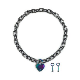 Succuba Padlock Necklace Chain Collar Choker with Two Keys and Box for Women, Men and Pet (J, 16)