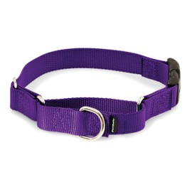 PetSafe Martingale Dog Collar with Quick Snap Buckle